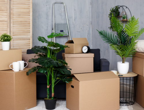 Reduce, recicla reutiliza y reserva tu trastero con Rey Soler